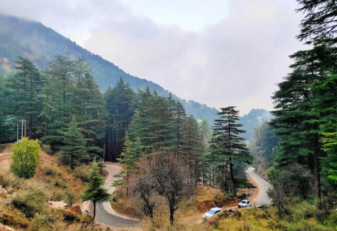 The Lake Cottage By Vrb Hotels Mcleodganj Νταραμσάλα Εξωτερικό φωτογραφία